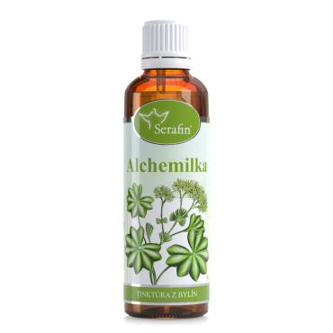 Alchemilka – tinktúra z bylín 50ml