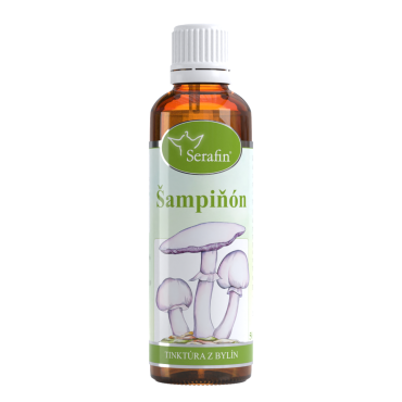 Šampiňón – tinktúra z bylín 50ml