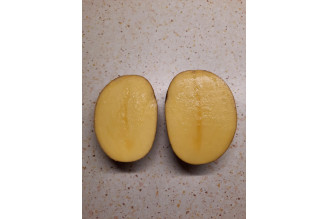 ZEMIAKY 2025 Super 1kg