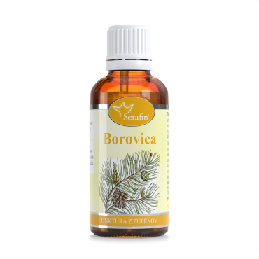 Borovica – tinktúra z pupeňov 50ml