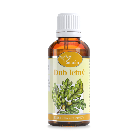 Dub – tinktúra z pupeňov 50ml