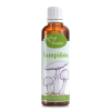 Šampiňón – tinktúra z bylín 50ml
