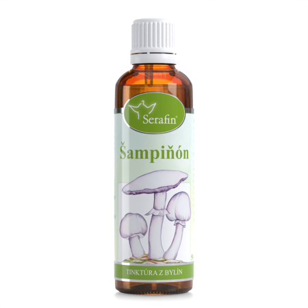 Šampiňón – tinktúra z bylín 50ml